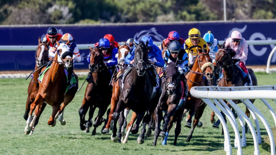 2025 Breeders’ Cup Turf, Del Mar, Rebel’s Romance, Minnie Hauk, America's Best Racing, horse racing, ABR  2025 Breeders’ Cup Turf, Del Mar, Rebel’s Romance, Minnie Hauk, America's Best Racing, horse racing, ABR